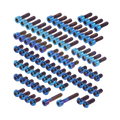 TITANIUM BOLT KIT - FATBOY SCRAMBLER